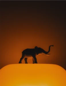 Photograph from Dayography