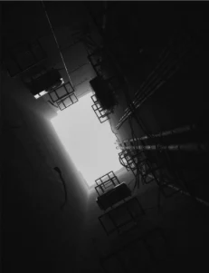 Photograph from Dayography